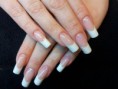 /album/nagels/a8309ce9ed4f19cc5cbc5950cc18105c8-jpg1/
